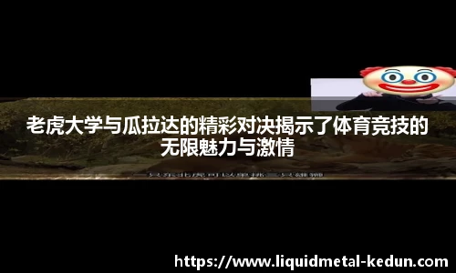77体育平台